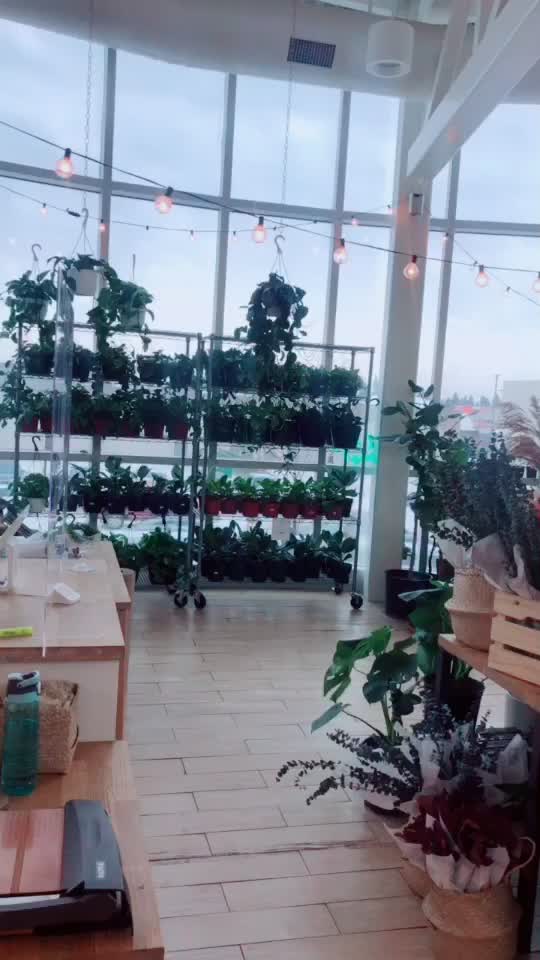 @Margarita Onevathana