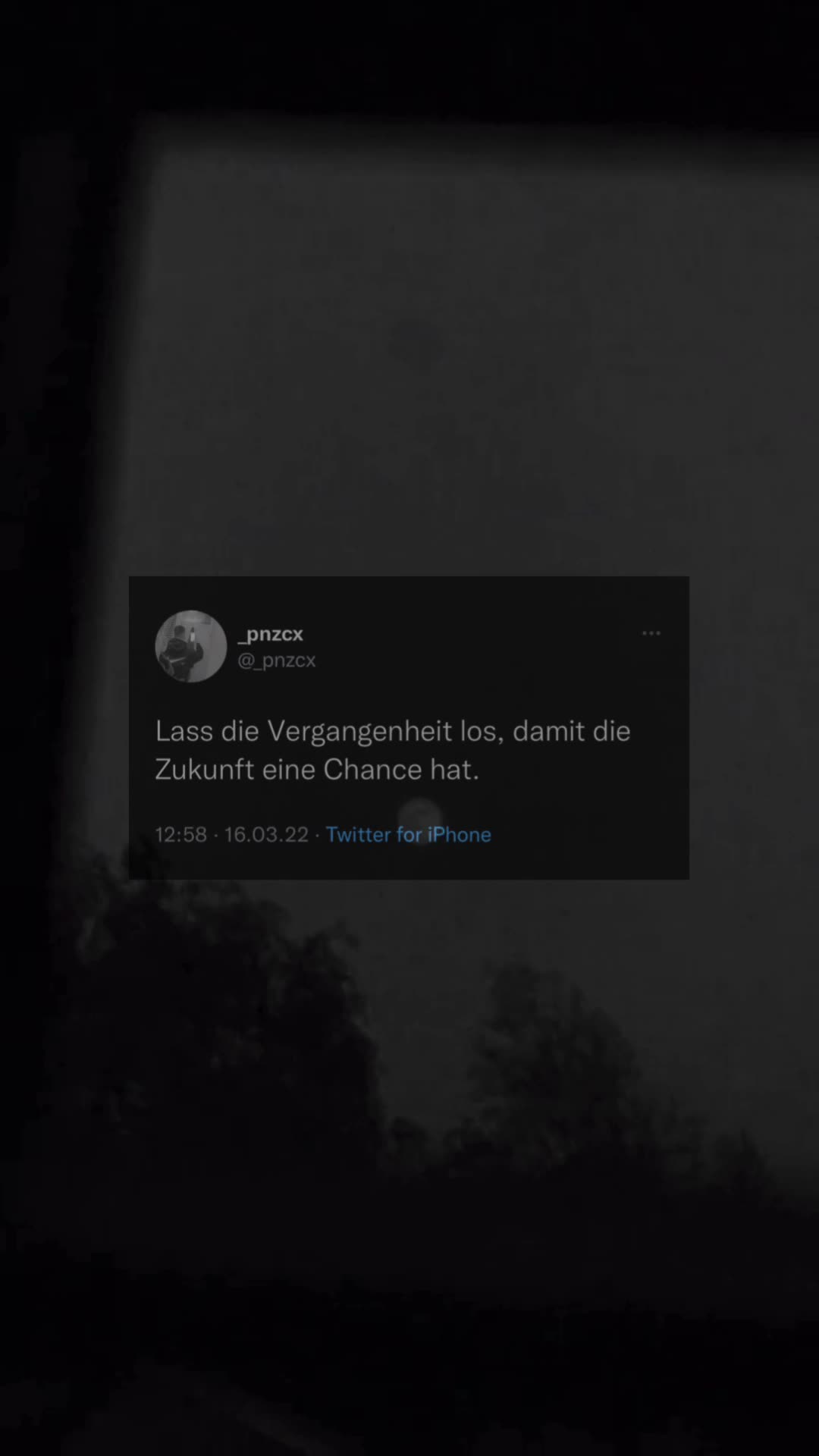 @🦂 𝐩𝐧𝐳𝐜𝐱 🦂