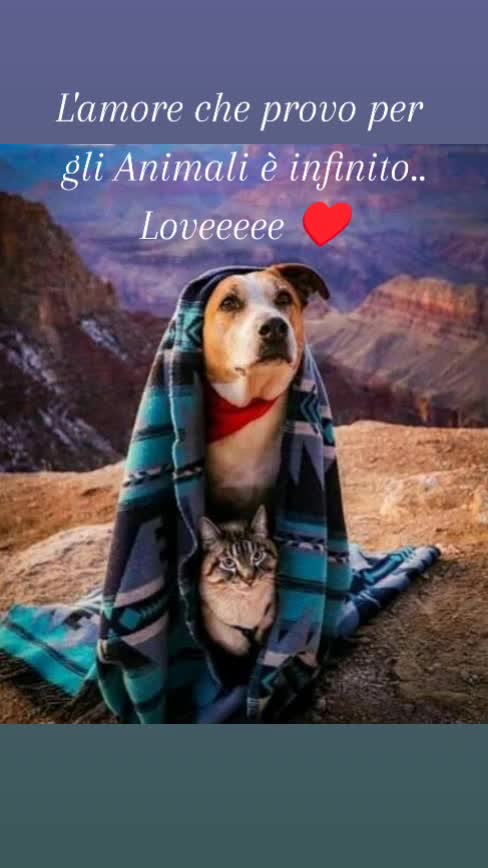 @Rossana♥️Billy♥️ Léon ♥️