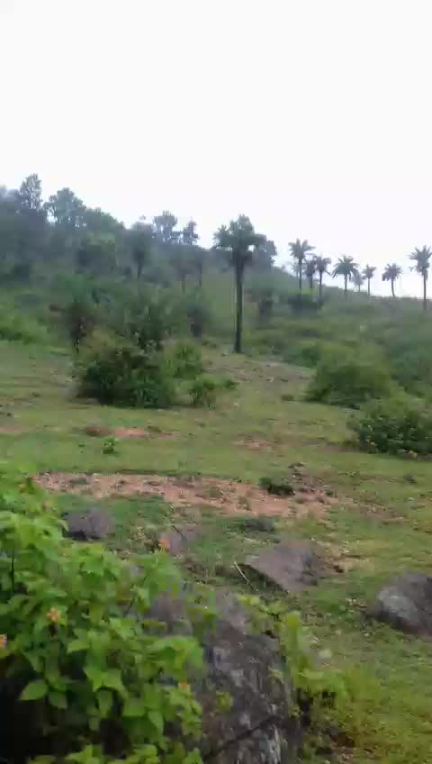 @Prem Mandal