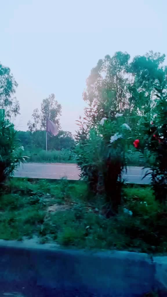 @pawan teotia