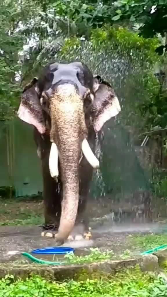 @vishnu_kavil