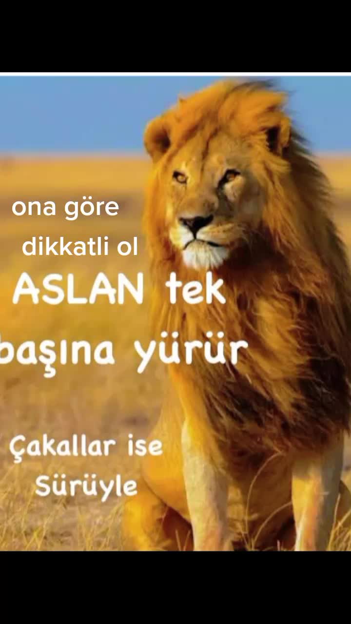 @Yasemin Çetin