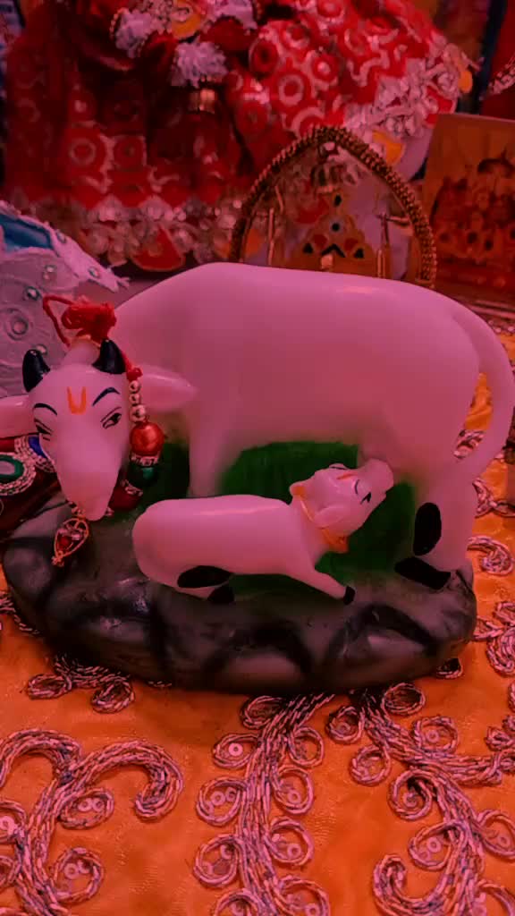 @mamta