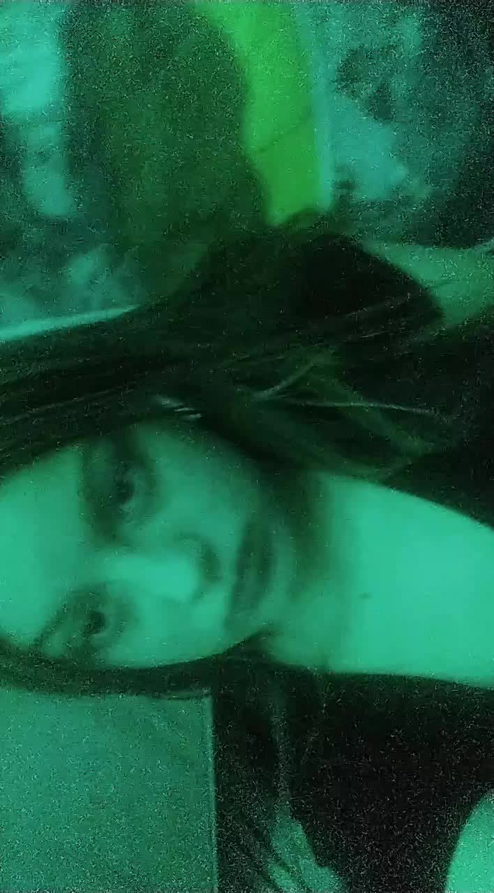 @bella🦖