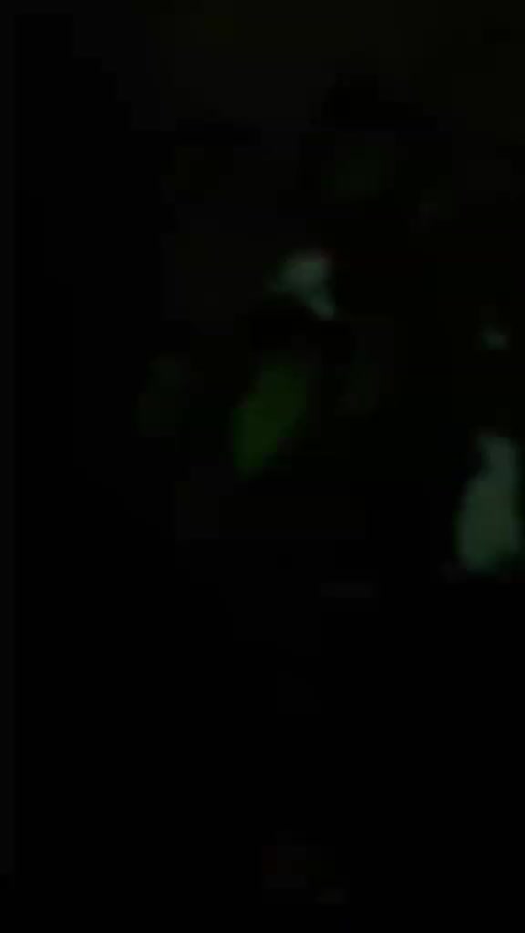 @user173939