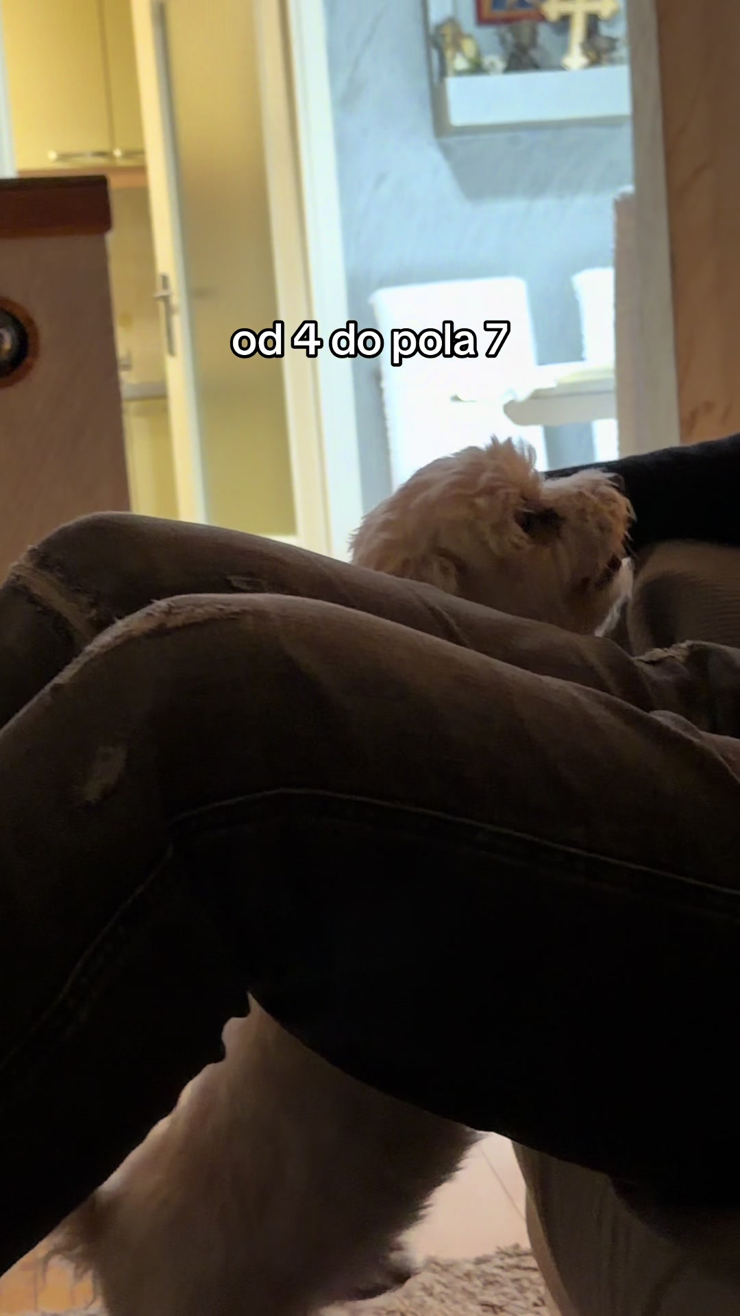 @Dora istražuje🍬