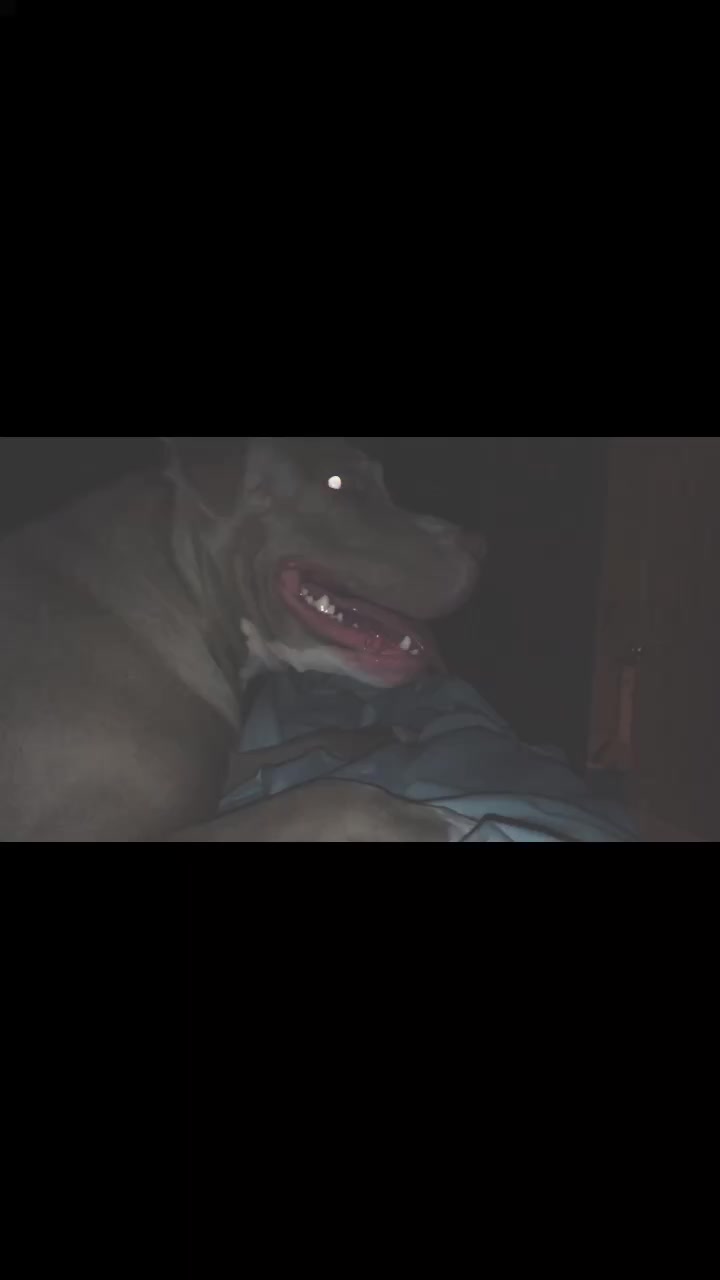 @🥴 Zoey 🥴