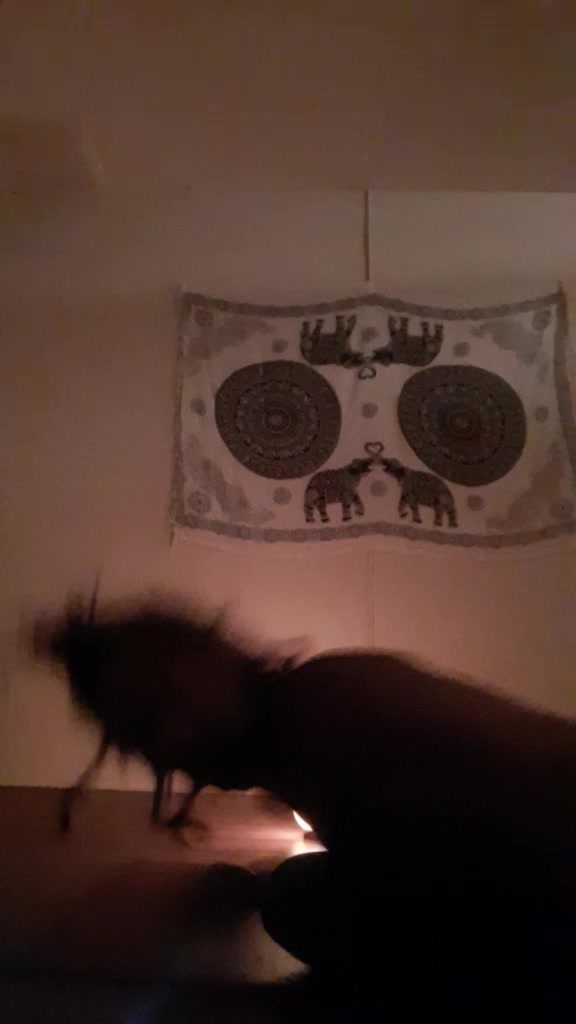 @Markus Kolozsy