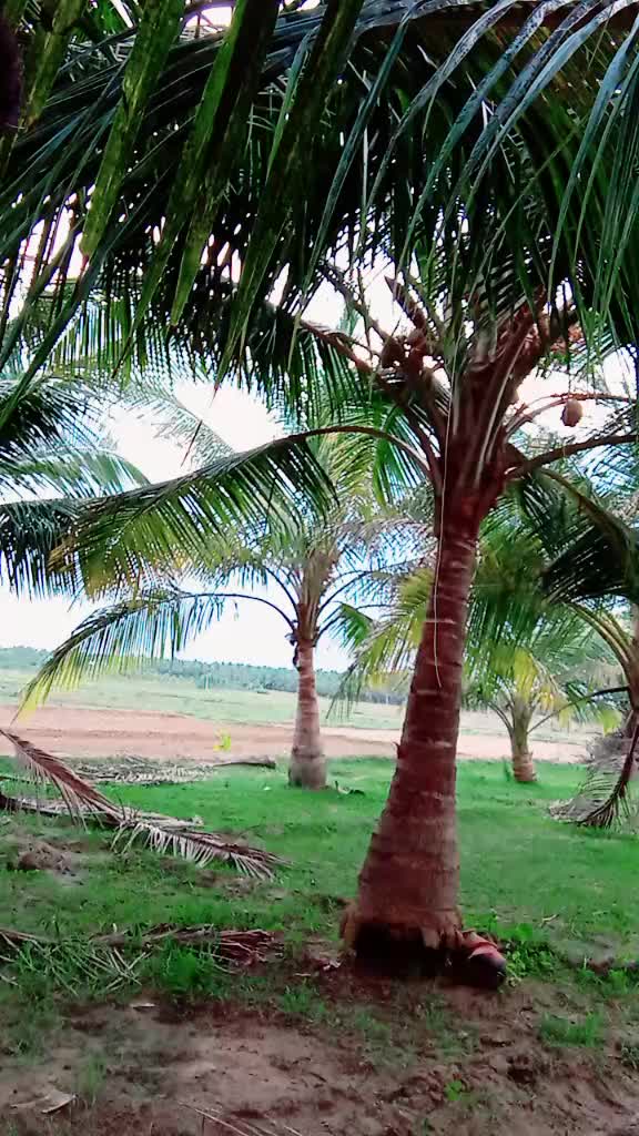 @Thiru Thiru