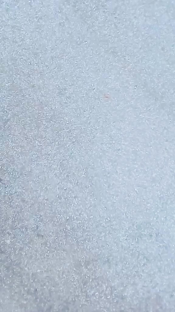 @anissasousou13