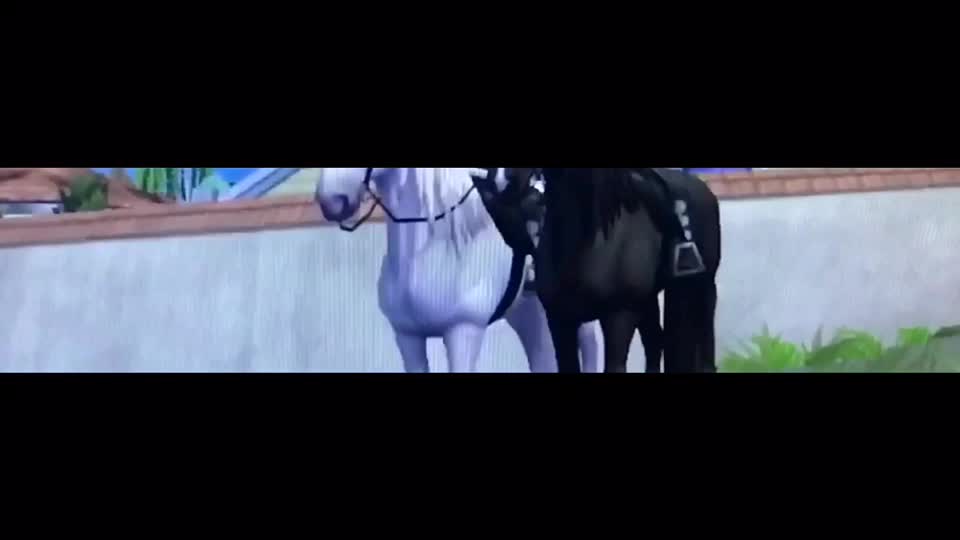 @ari