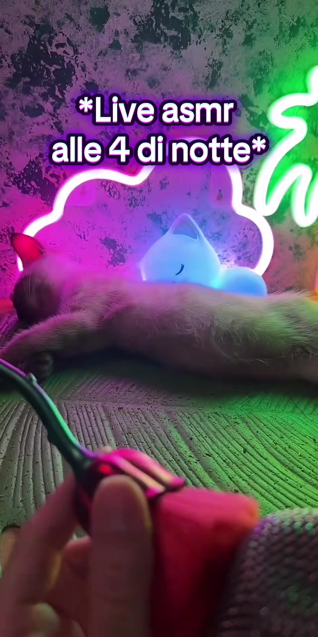 @Mirella ASMR