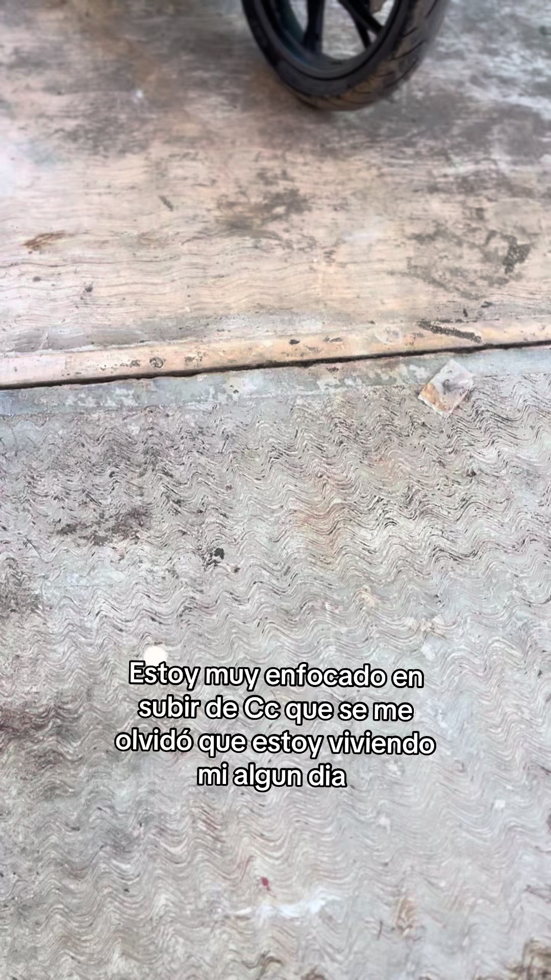 @rodrigo🥷