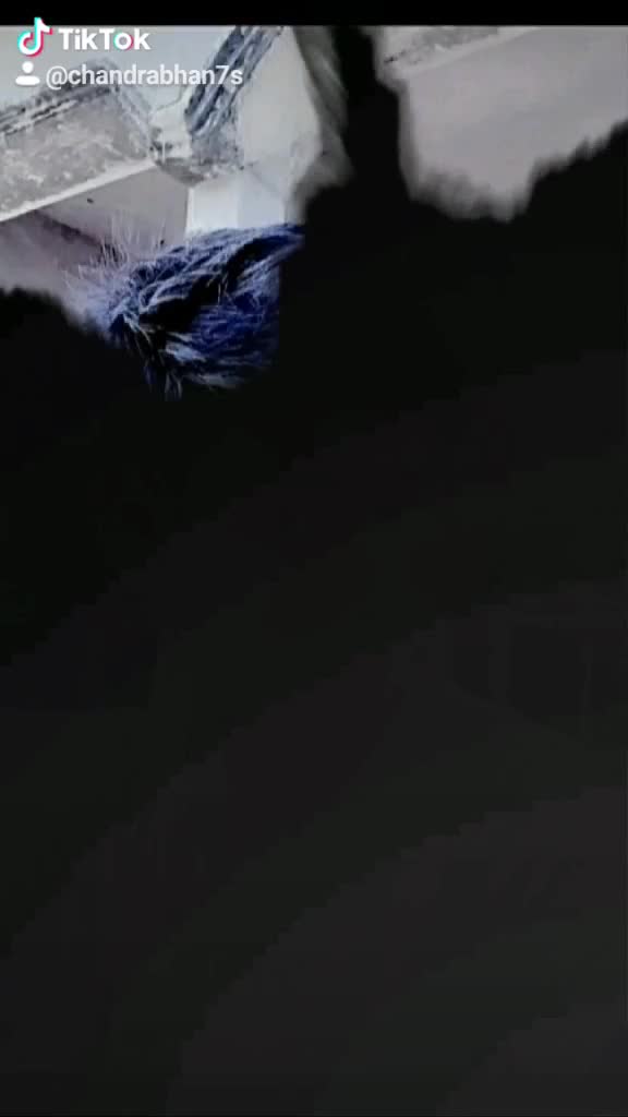 @chandrabhan7s