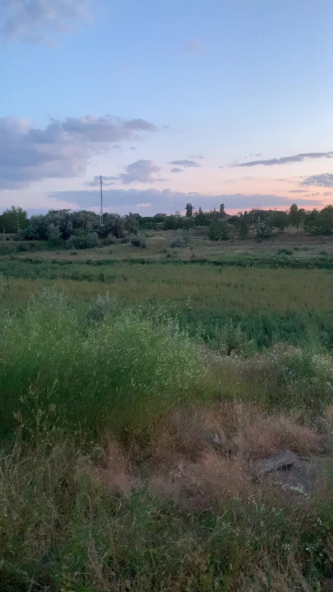 @Травка