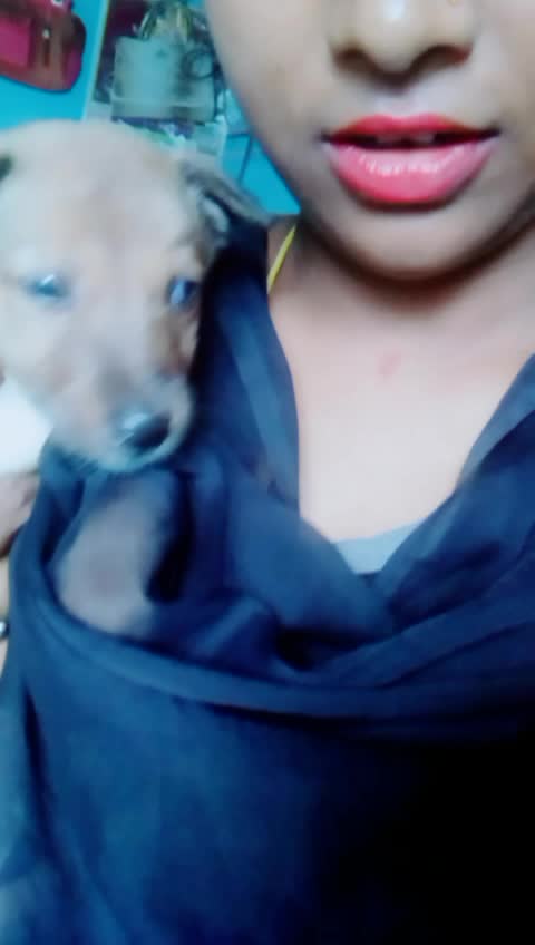 @Shalini Neha