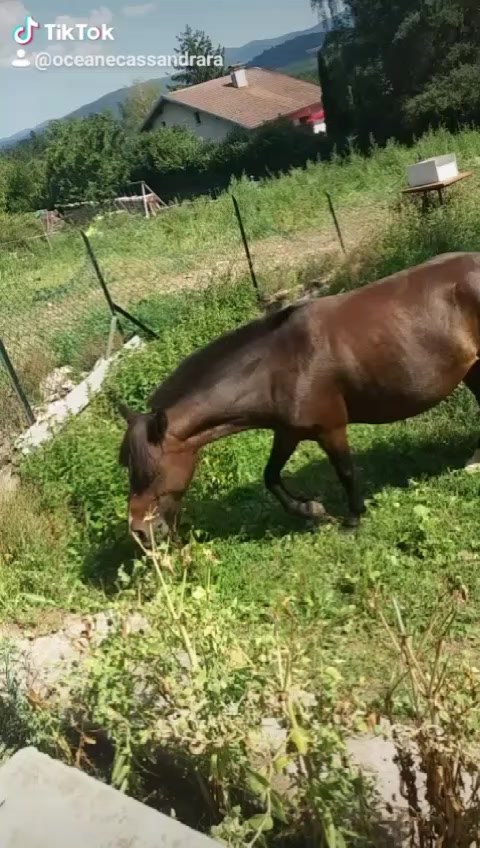 @Oceane naveau