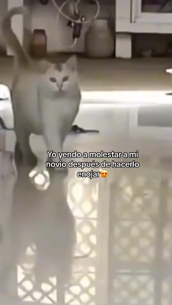 @valentina 💕