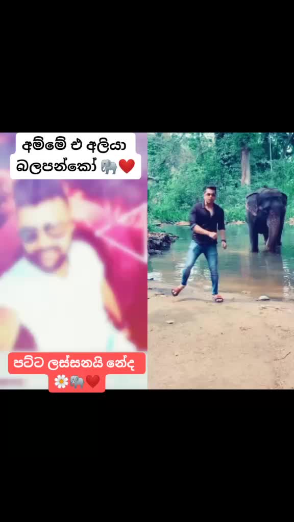 @`✈°•…_බට්ටා_…•°☸´