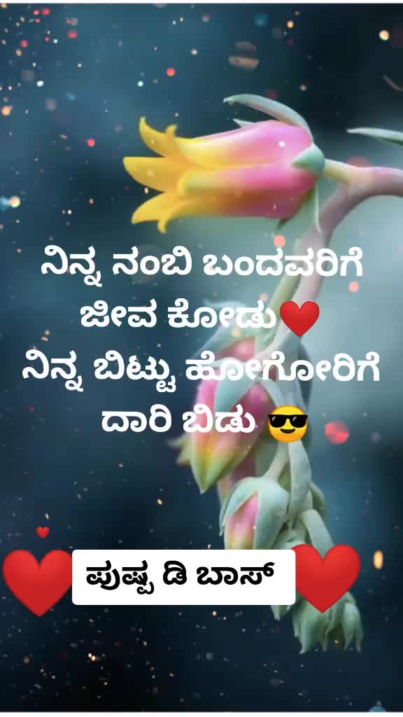 @dbossfan😍pushpa