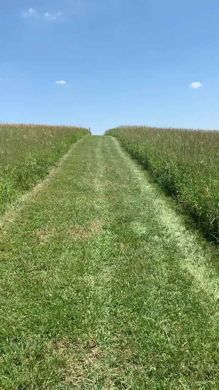 @Mikeg975