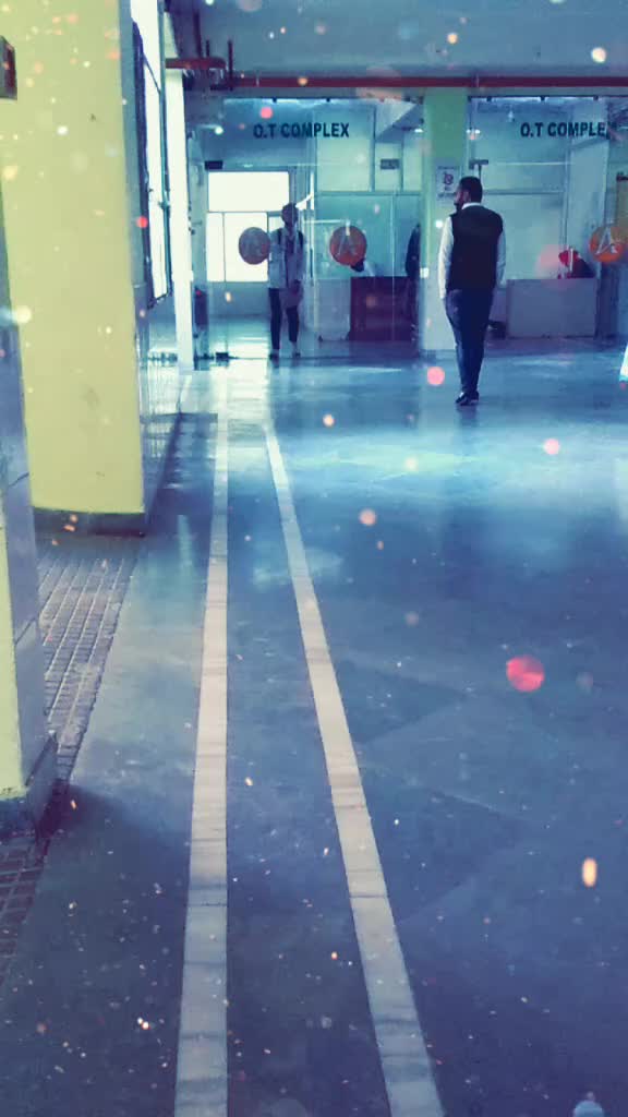 @rizi1234