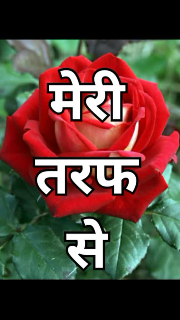 @Mr_Kc_Chandel