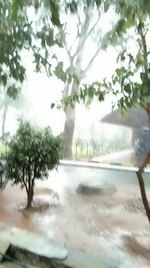 @Ajay Bhai💪