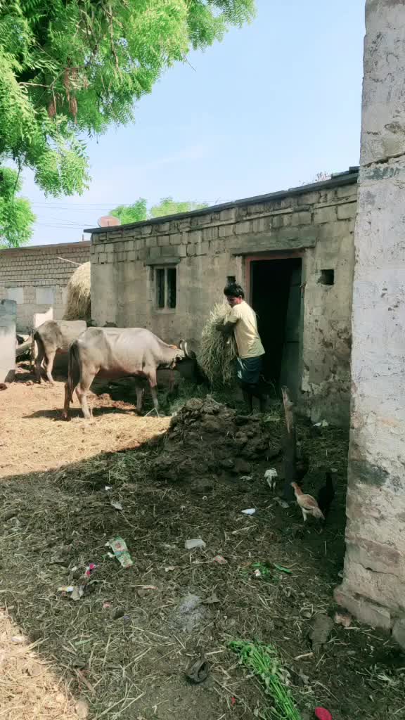 @Kalluru Subbareddy