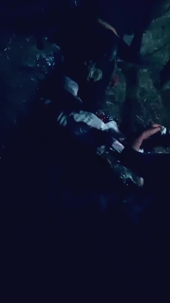 @shailu622972
