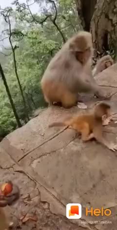 @Rio sabari