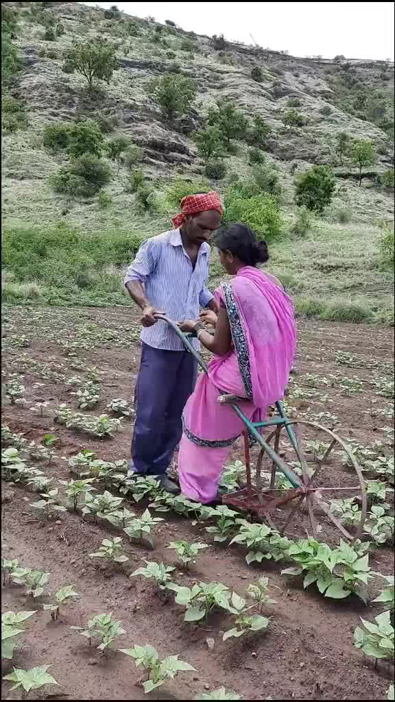 @।। आम्ही परभणीकर ।।