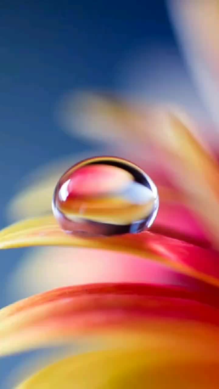 @Anitha vinay