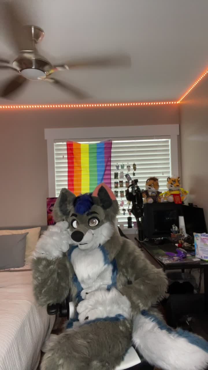 @DisjointWolfy
