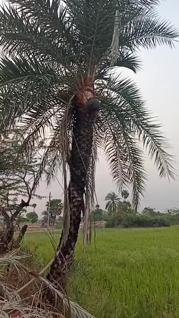 @pruthvirajgoud7674