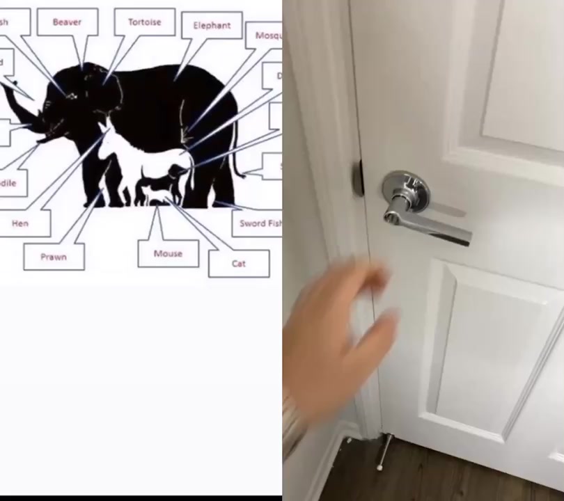 @user019362