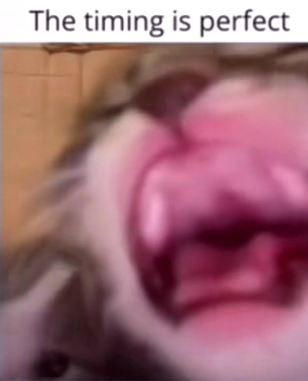 @Julia