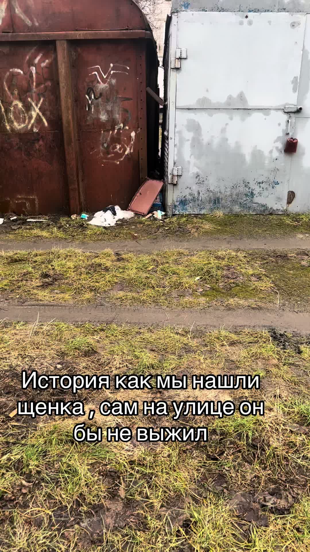 @Кыцюня Долманова