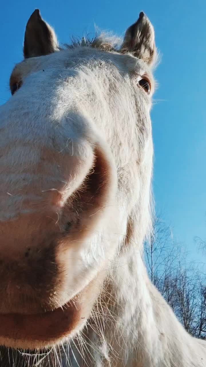 @tam.het.za.lasem