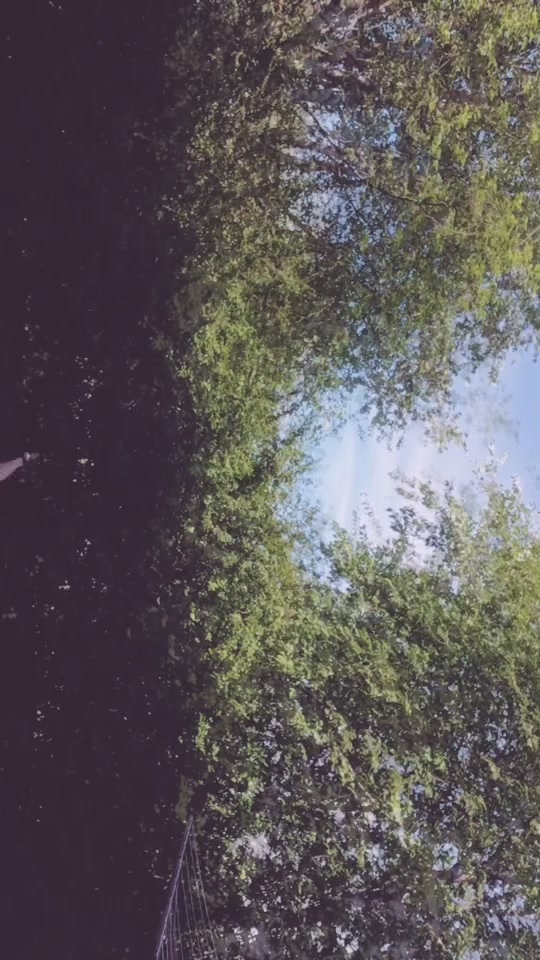 @Domix123