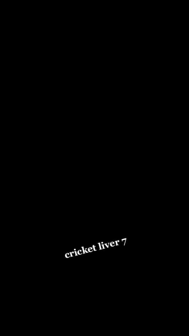 @Cricket lover🏏