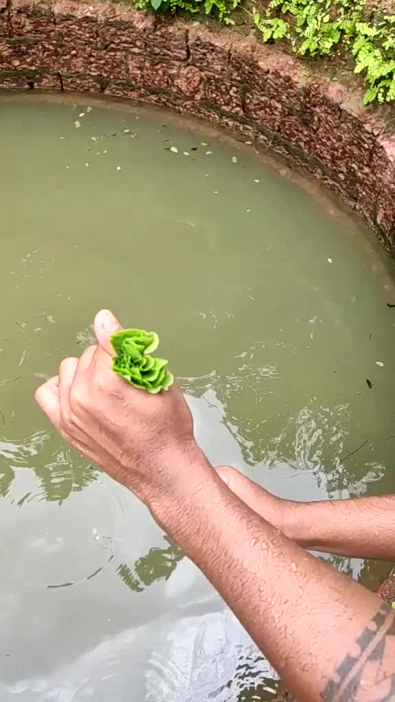 @Akshay Naik
