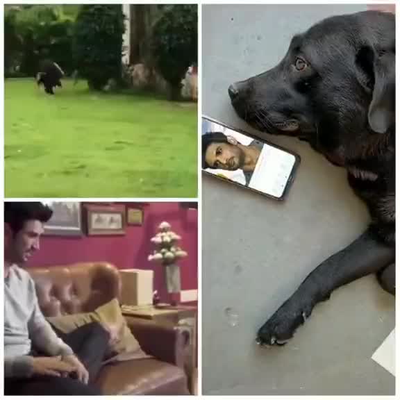 @Thalapathy thangachi