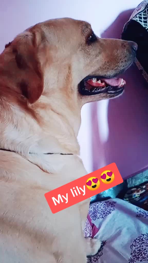 @Mintu😉😉😉😉😉