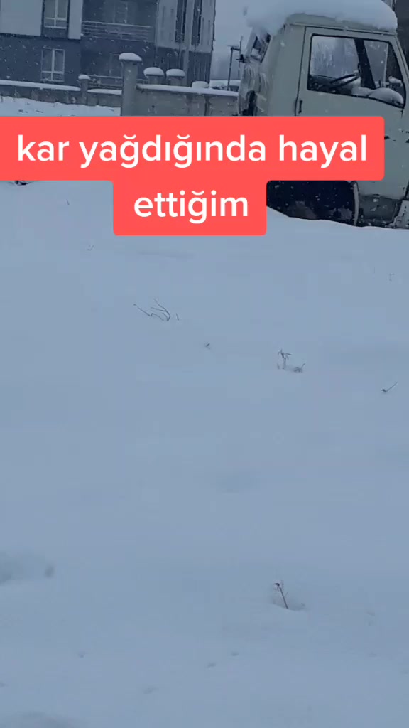 @karisikbiryer