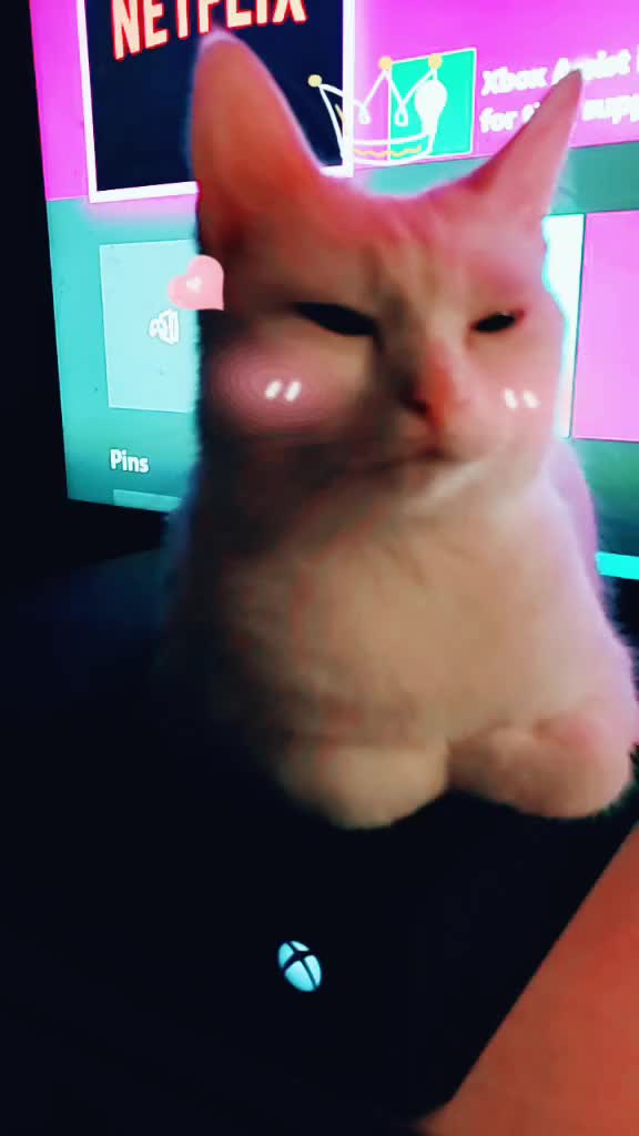 @CrazyCatLady