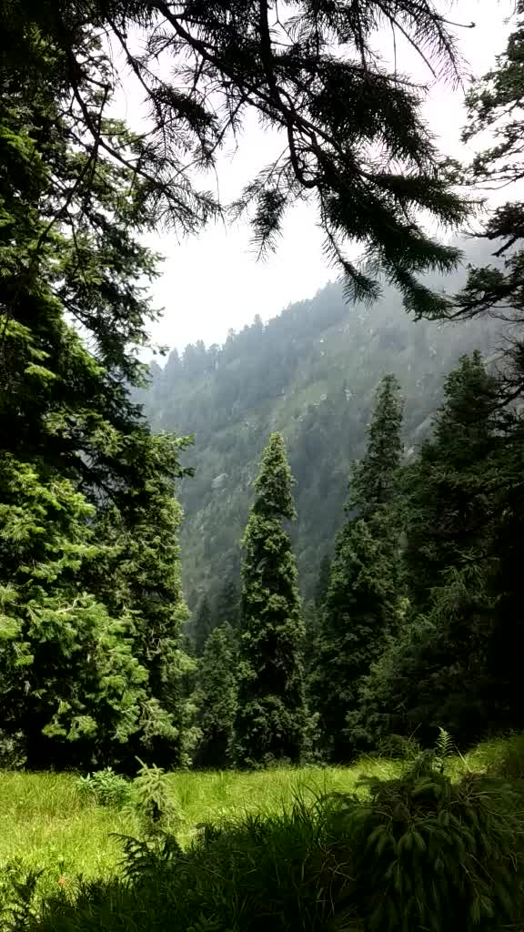 @Amåñ Thakur