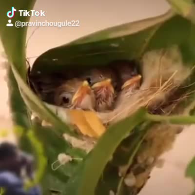 @प्रवीण सिंह चौगुले
