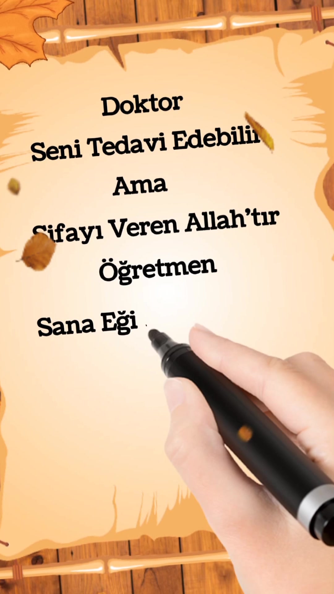 @kelebeğin d&uuml;nyası